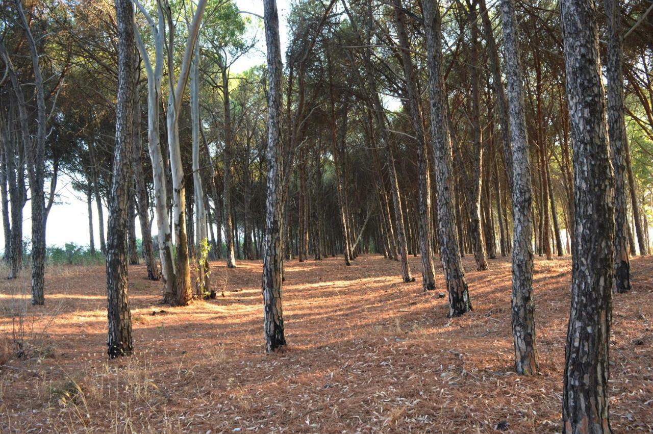 Oasi Del Governatore Apartamento Squillace Exterior foto
